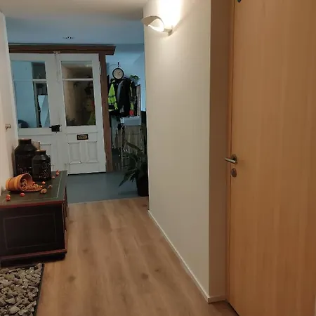 Balmweid 1 Apartment Meiringen