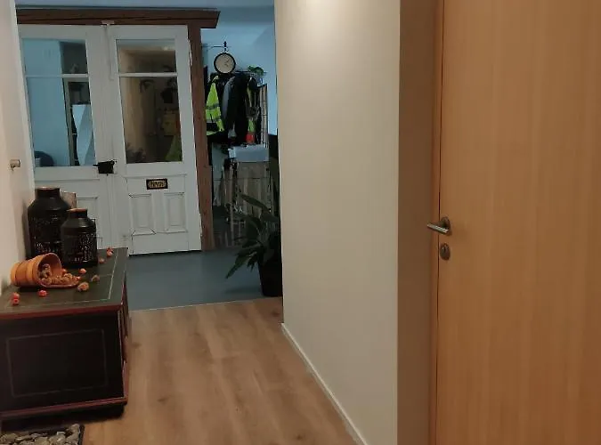 Balmweid 1 Appartamento Meiringen