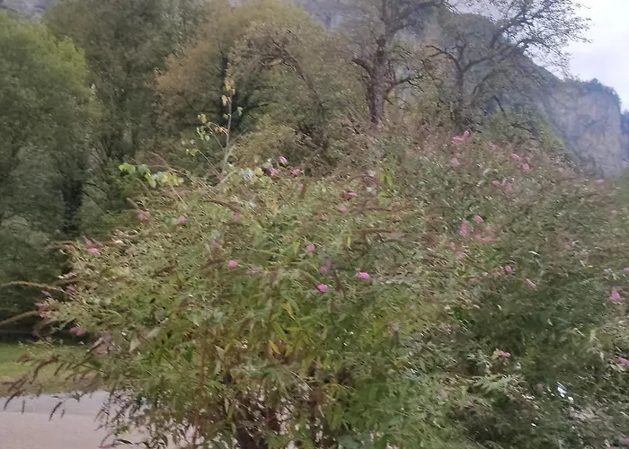 Balmweid 1 Apartmán *